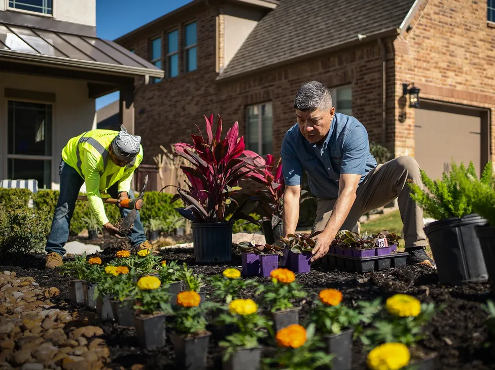 Primero TX Landscaping